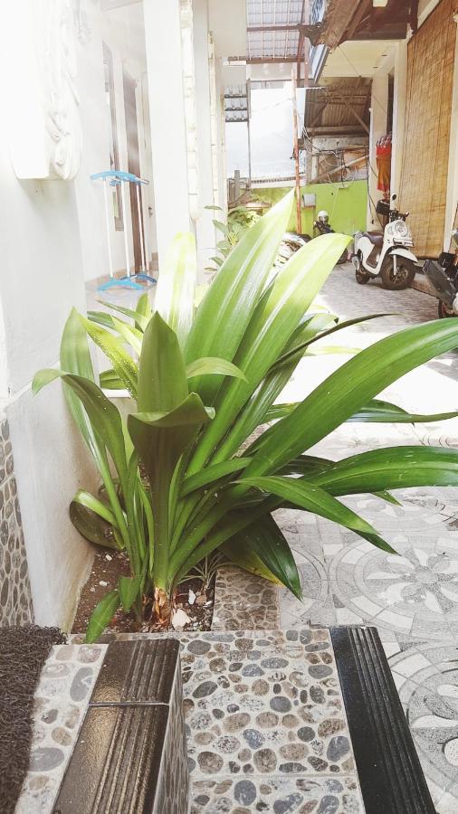 Bali Dd Homestay Seminyak Екстериор снимка